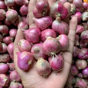 Bawang merah super