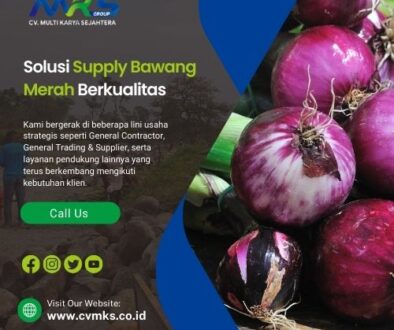 artikel cv mks (3)