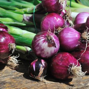 bidang usaha cv mks (2)